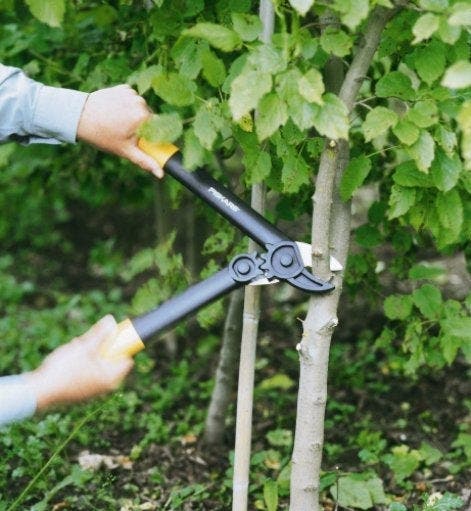 Comment choisir ses outils à main de taille et d'élagage ?