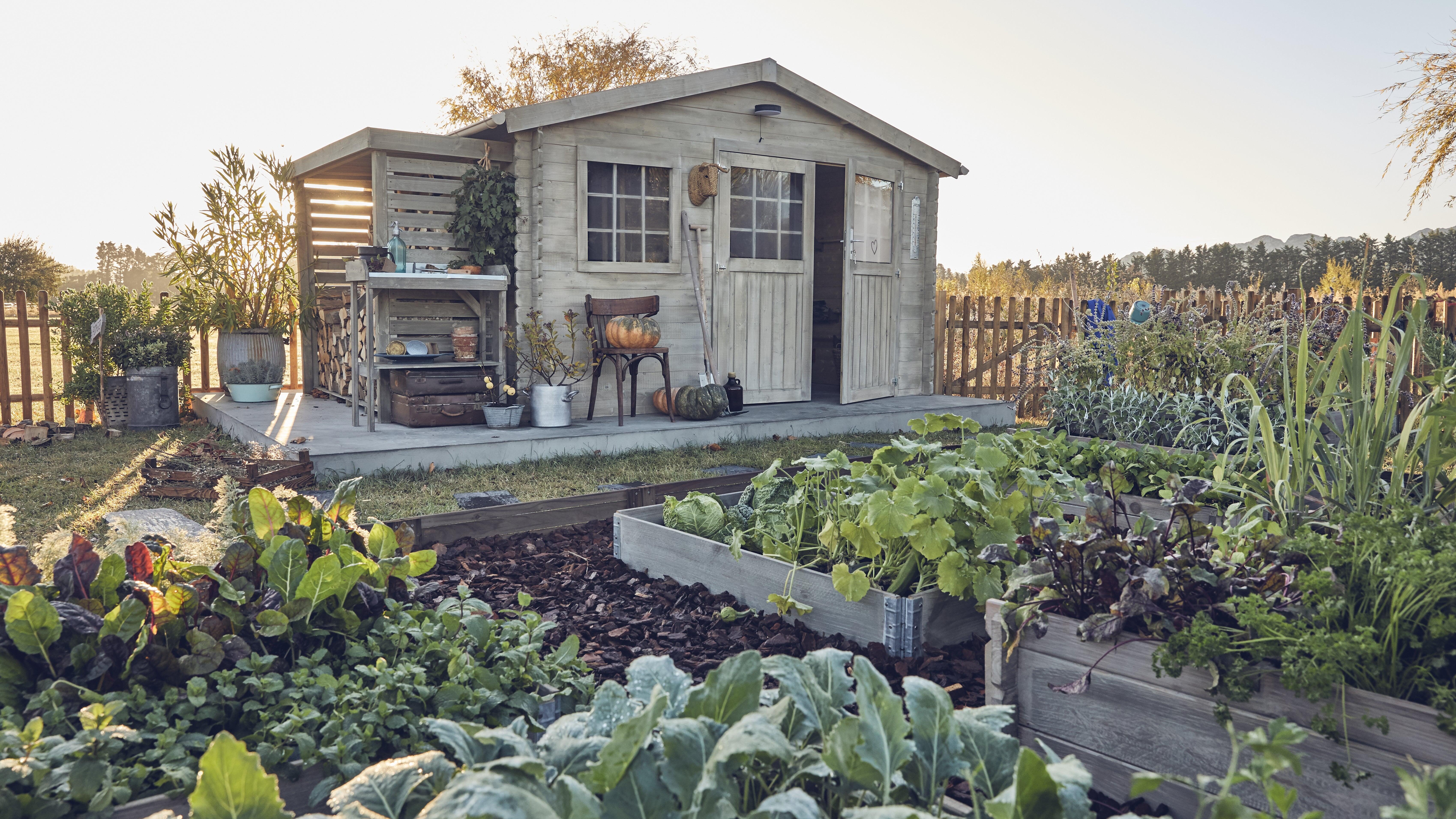 Des abris de jardin, un espace en plus et une solution de rangement