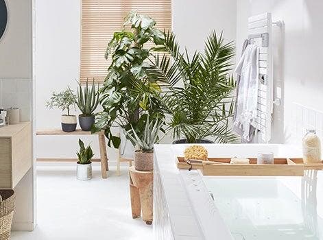 suite parentale baignoire balnéo