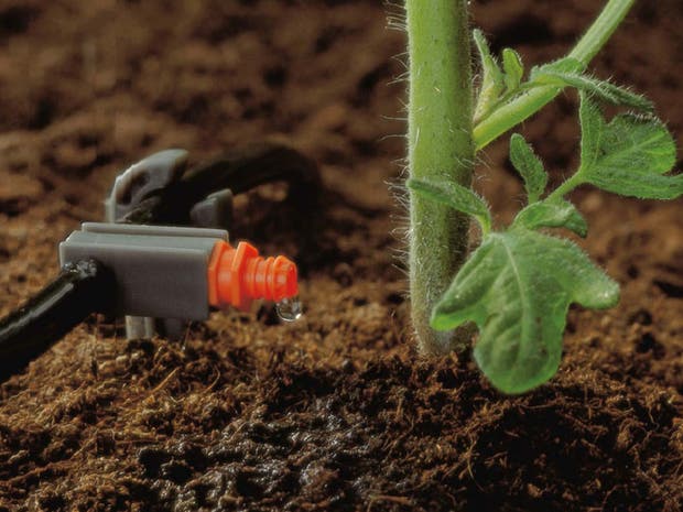 Arrosage goutte-à-goutte pour jardin, micro spray réglable intégré