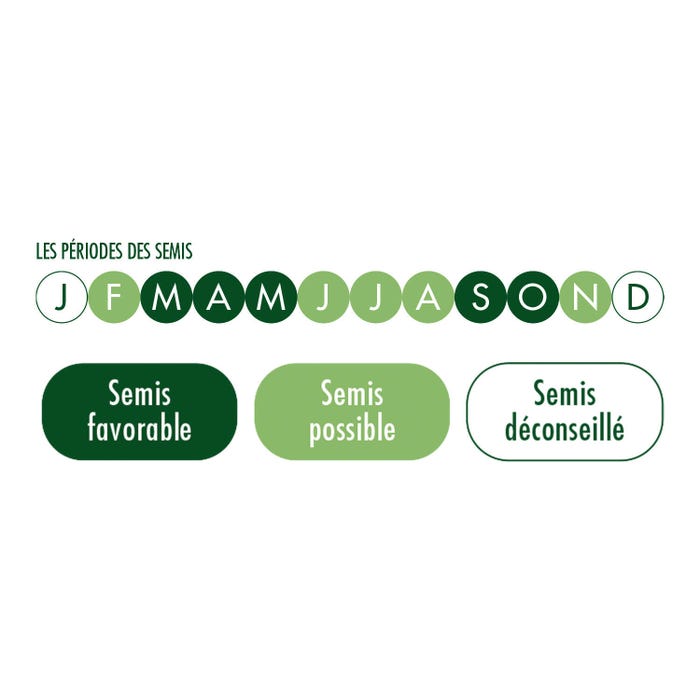 Quand semer le gazon