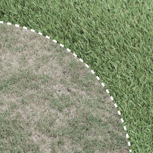 Le gazon de réparation GEOLIA - 0