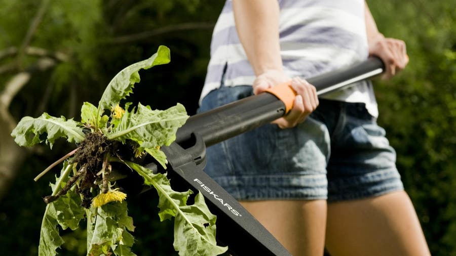 Comment choisir le meilleur pulvérisateur de jardin ? - Le Parisien