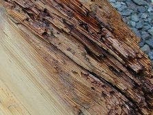 Comment choisir ses produits d'ébénisterie ?