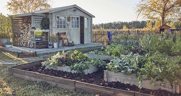 14 conseils pour créer un jardin en permaculture