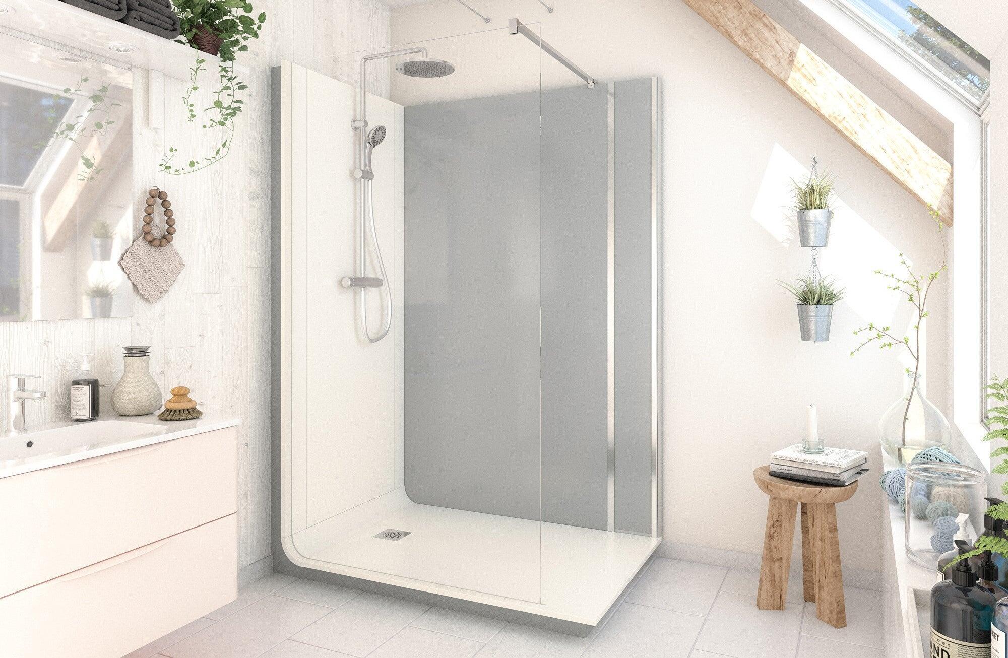 Changement Baignoire En Douche Prix