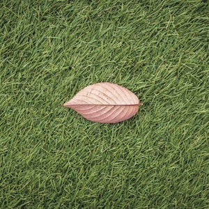 Le gazon produit de l’Oxygène - 4