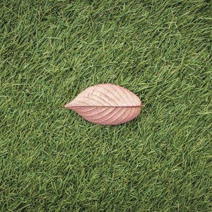 Le gazon produit de l’Oxygène