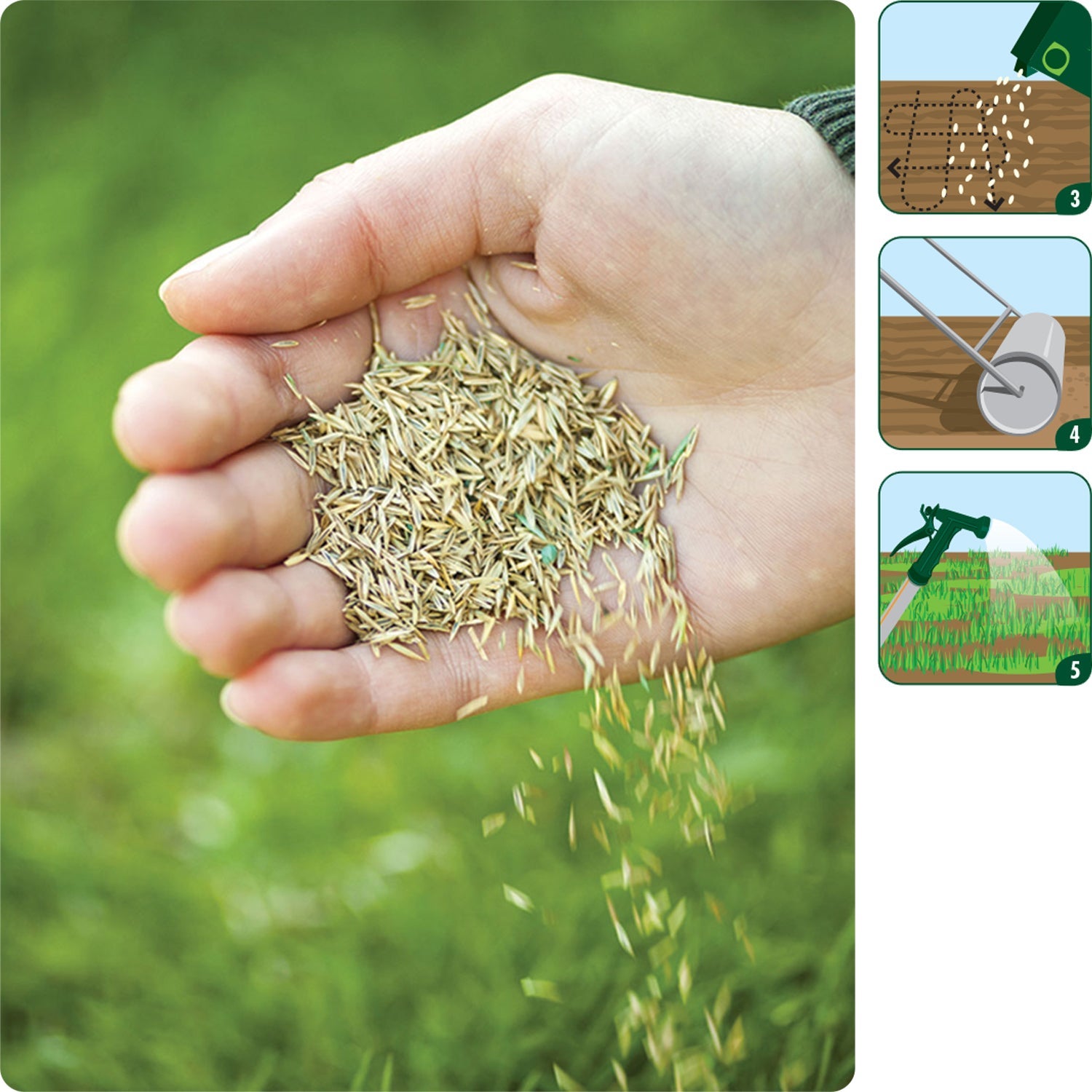 Comment semer le gazon - 7