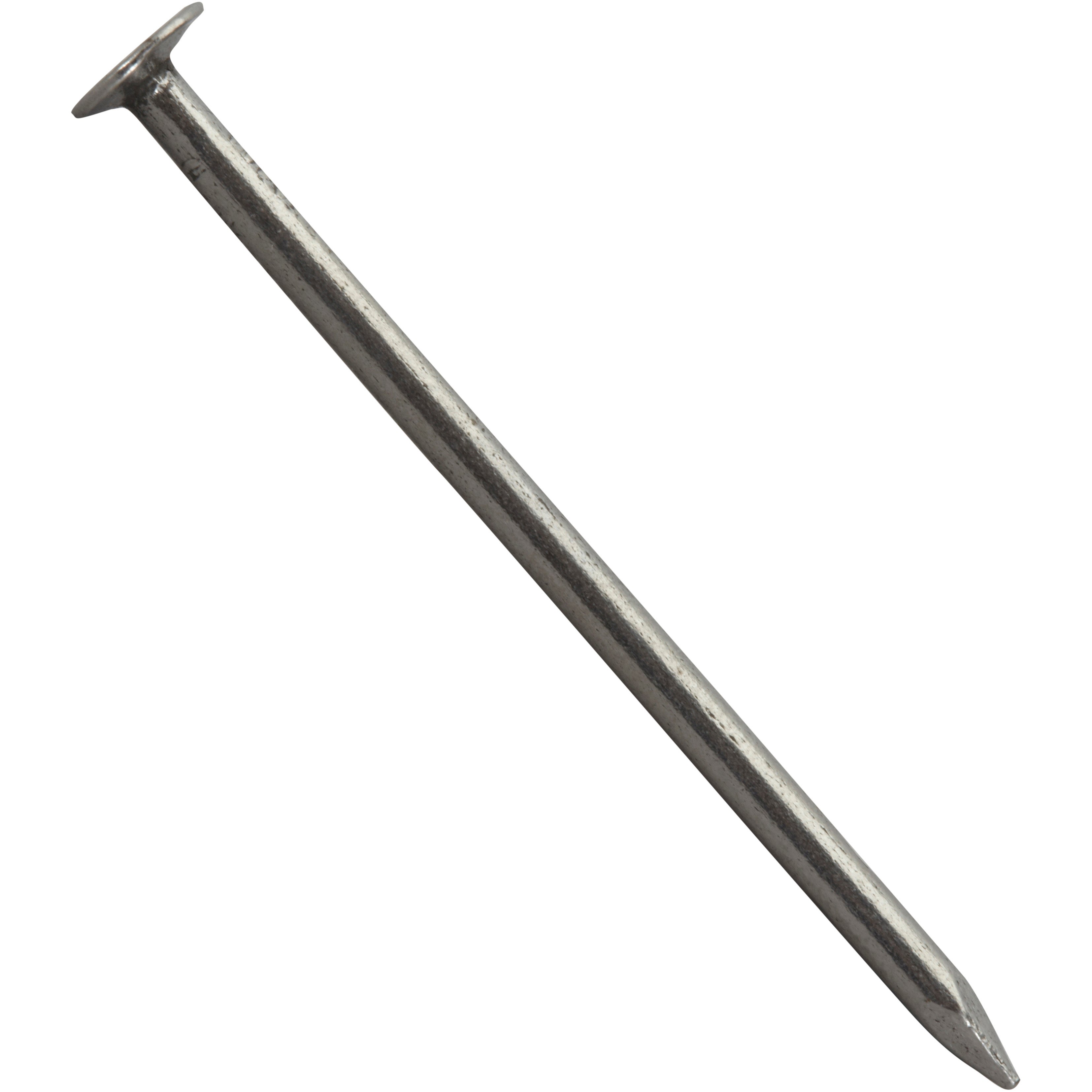 320 clous acier STANDERS tête plate, Ø2.4 x L.50 mm - 2
