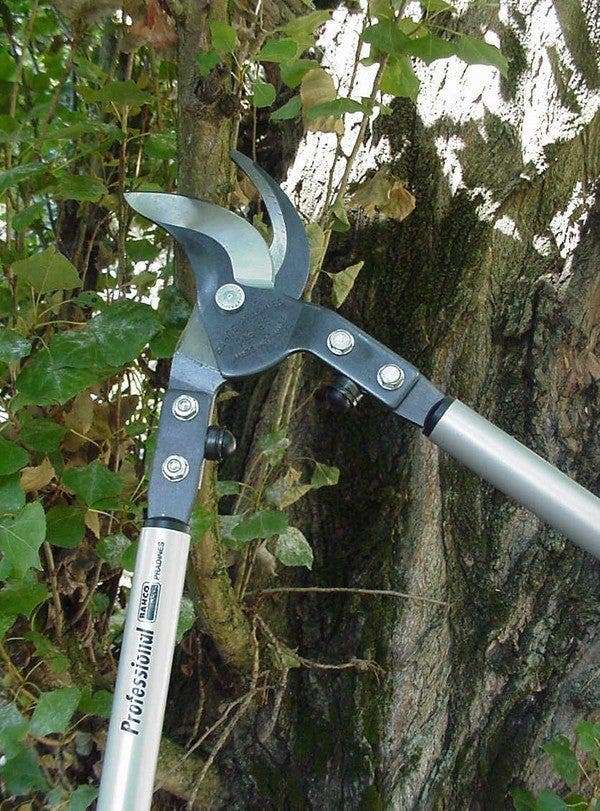 Comment choisir ses outils à main de taille et d'élagage ?