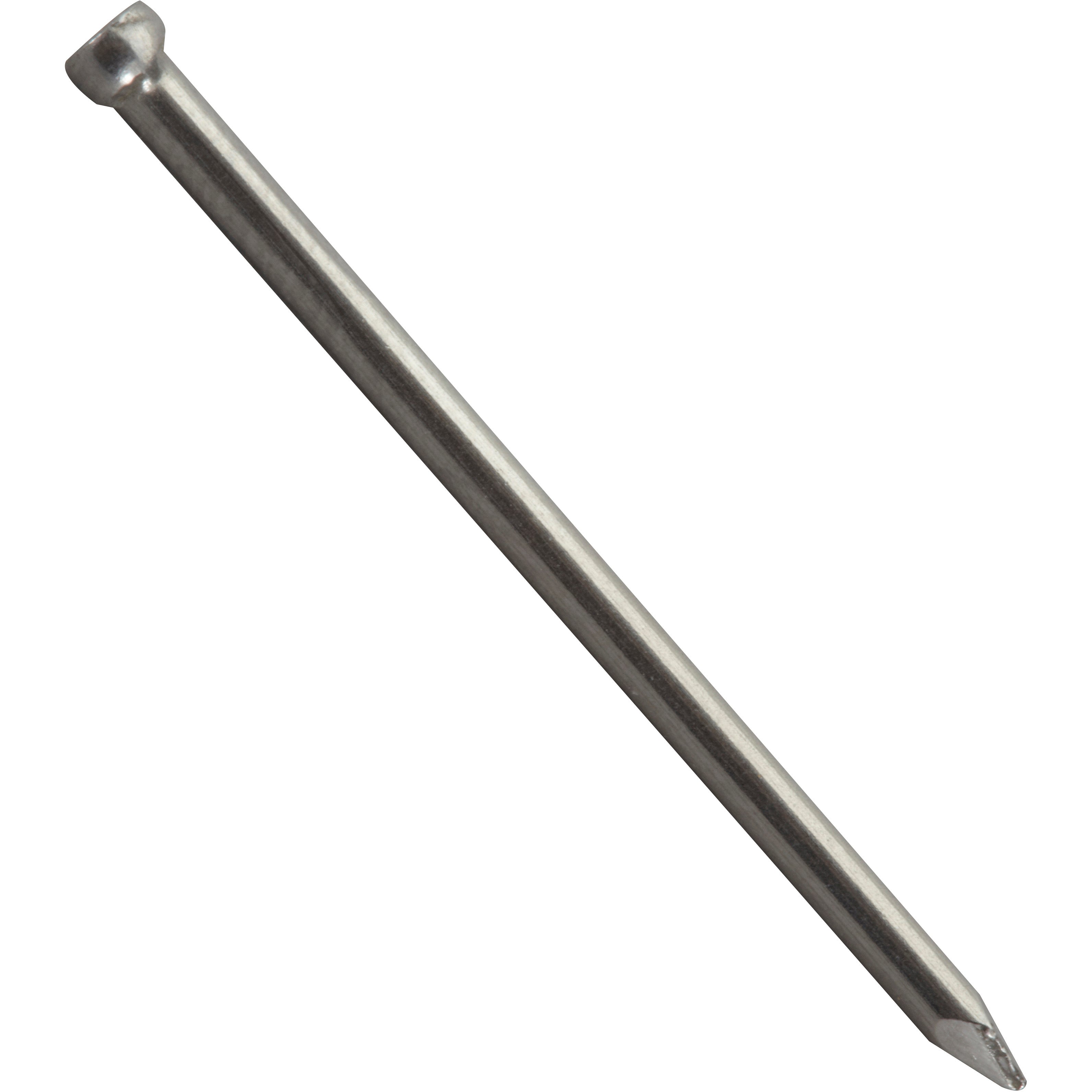 900 clous acier STANDERS tête homme, Ø1.6 x L.30 mm - 3