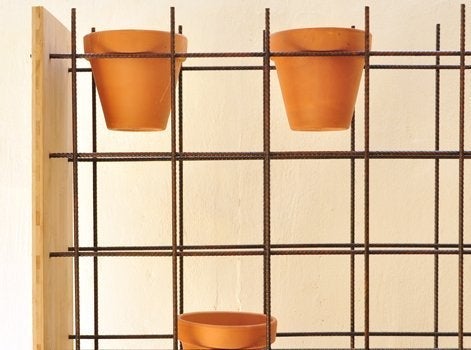 DIY : fabriquer un mur végétal d'extérieur