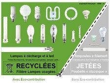 Tout savoir sur le recyclage des ampoules