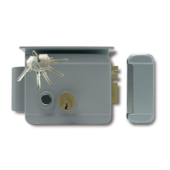 Serrure électrique EXTEL We 5001/2 bis chez Leroy Merlin