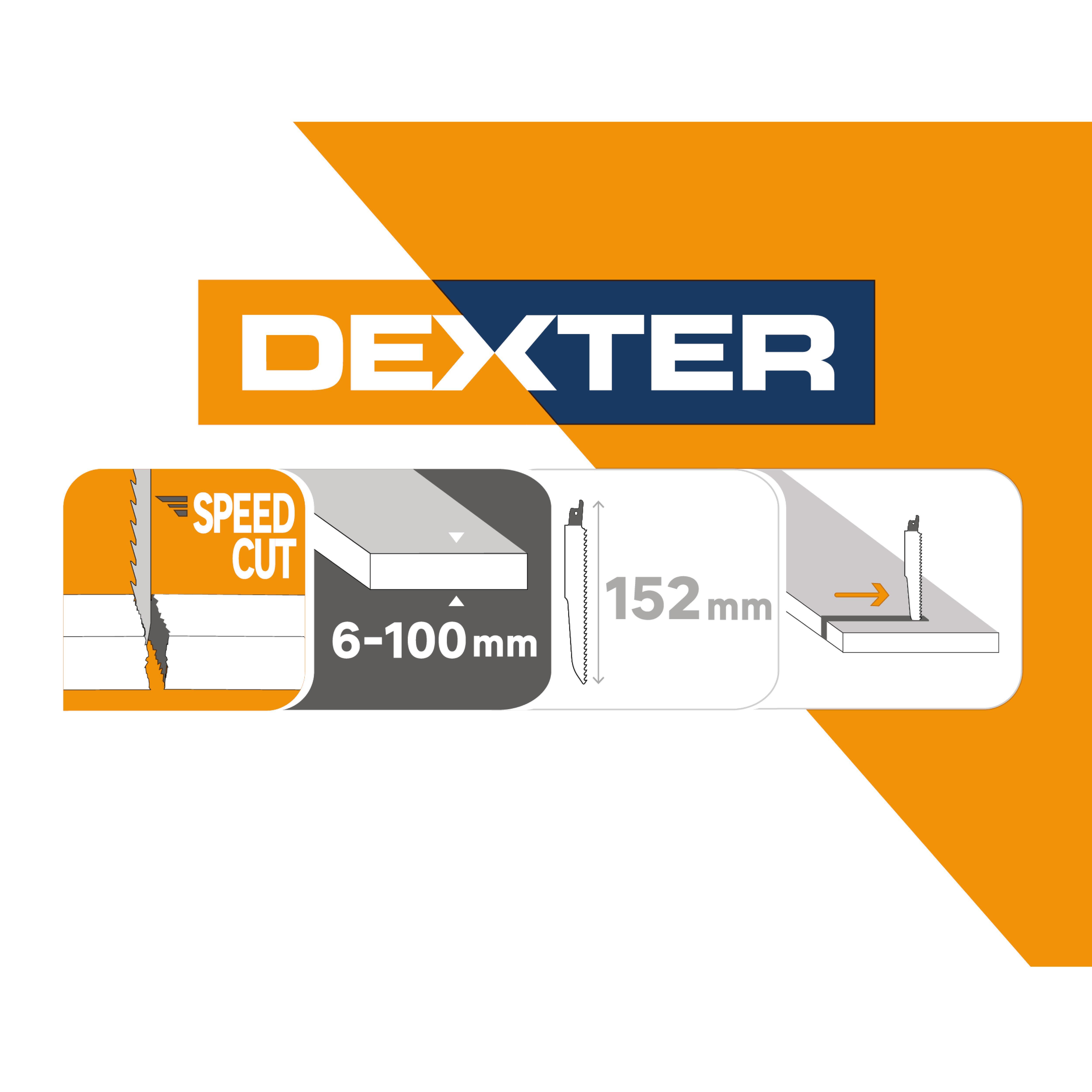 Lot de 2 lames bois coupe droite 6-100 mm DEXTER pour scie sabre - 3