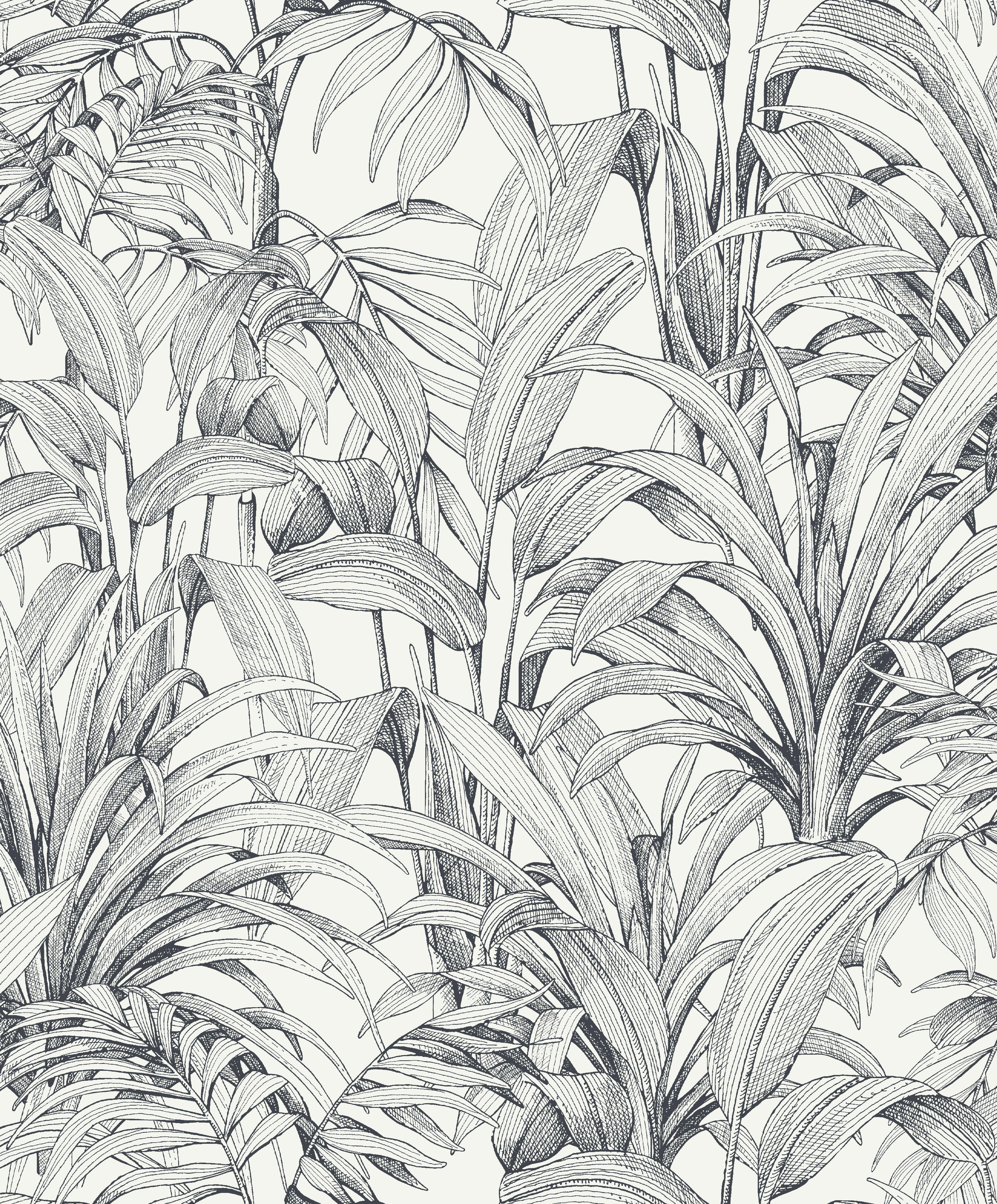 Papier peint intissé Feuille Aliare noir et blanc - 2