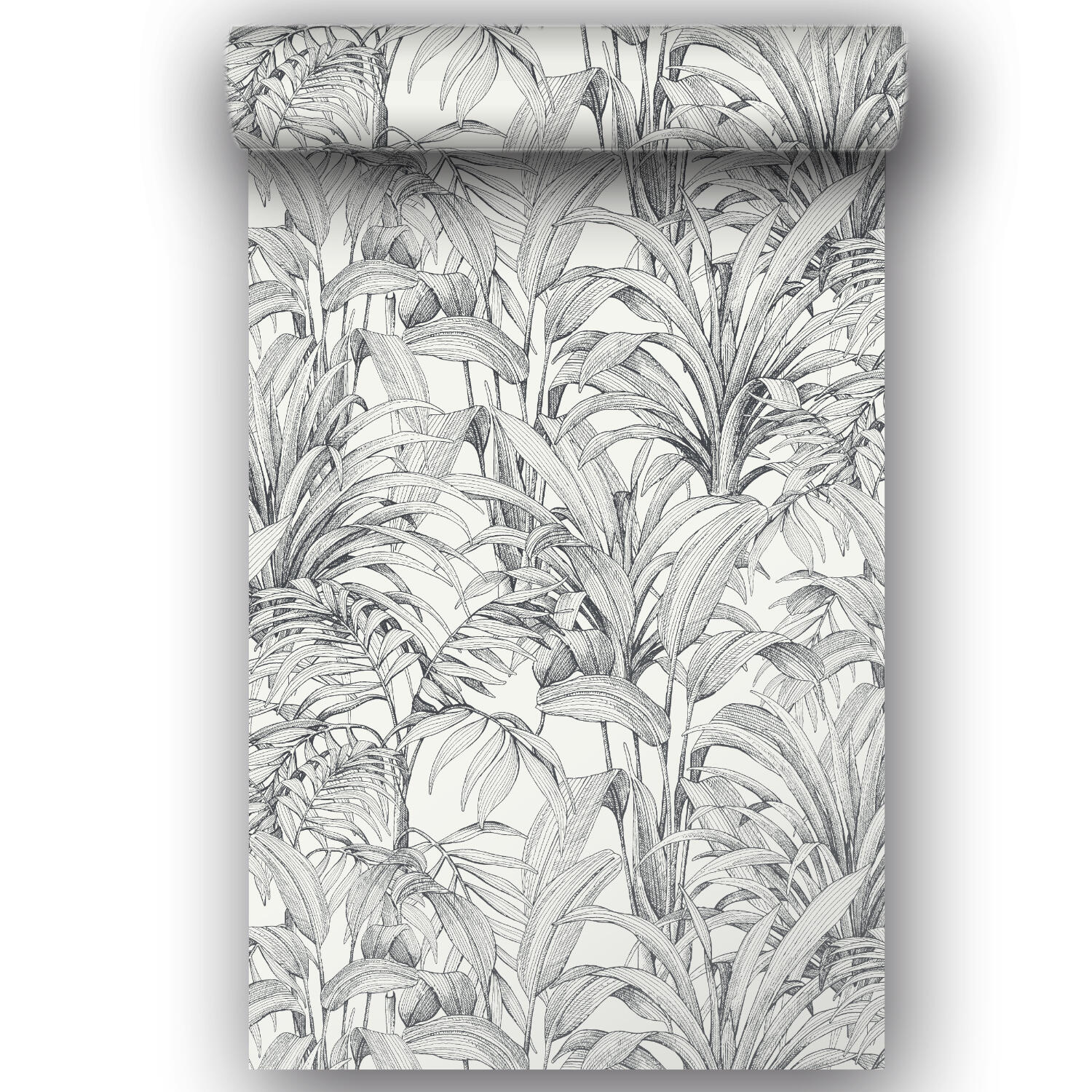 Papier peint intissé Feuille Aliare noir et blanc - 5