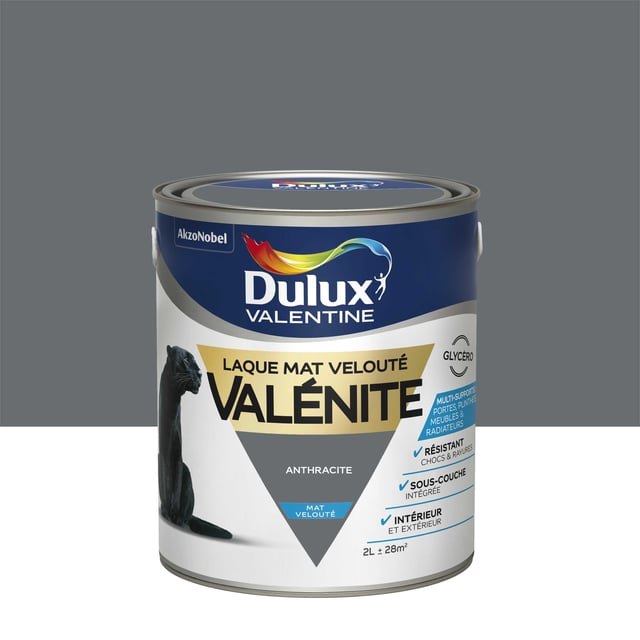 Laque intérieure boiserie, radiateur anthracite mat DULUX VALENTINE Valénite gly