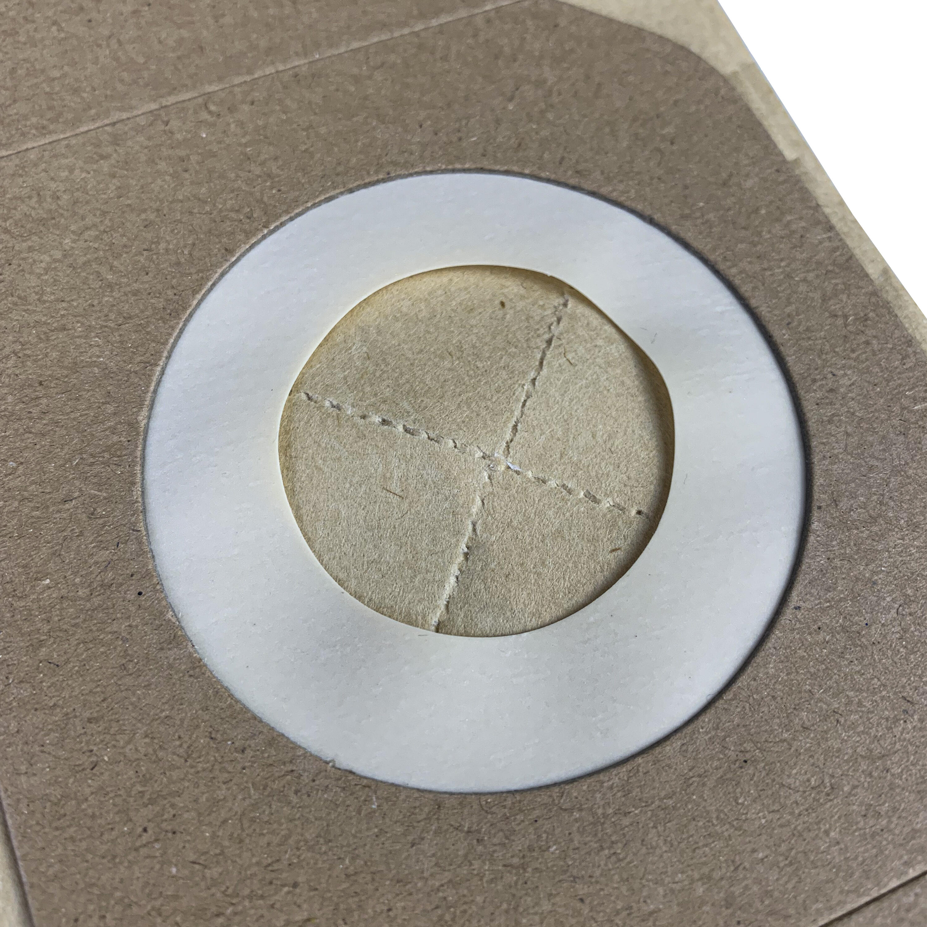 Lot de 5 sacs papier Dxs32p DEXTER - 3