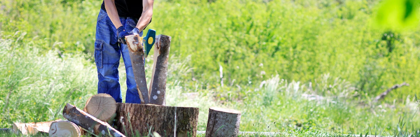 Bûcheronnage Leborgne | Leroy Merlin