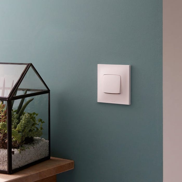 Interrupteur Legrand neptune