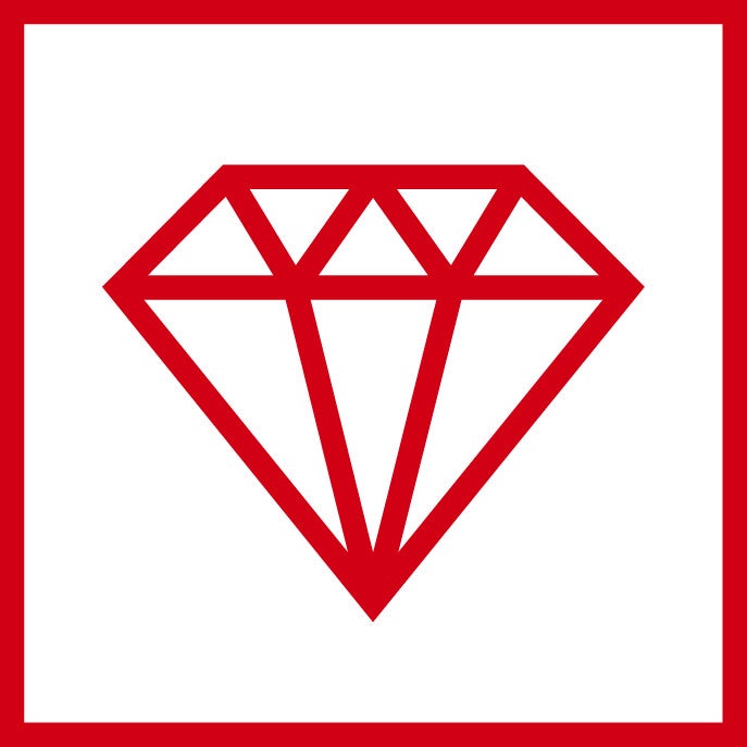 logo-robustesse-rockwood - 8