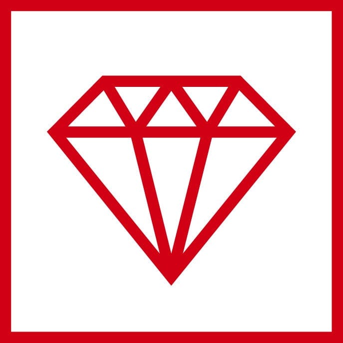 logo-robustesse-rockwood