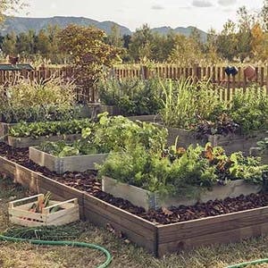 Accessoire de jardin orignal pour jardinage urbain & permaculture