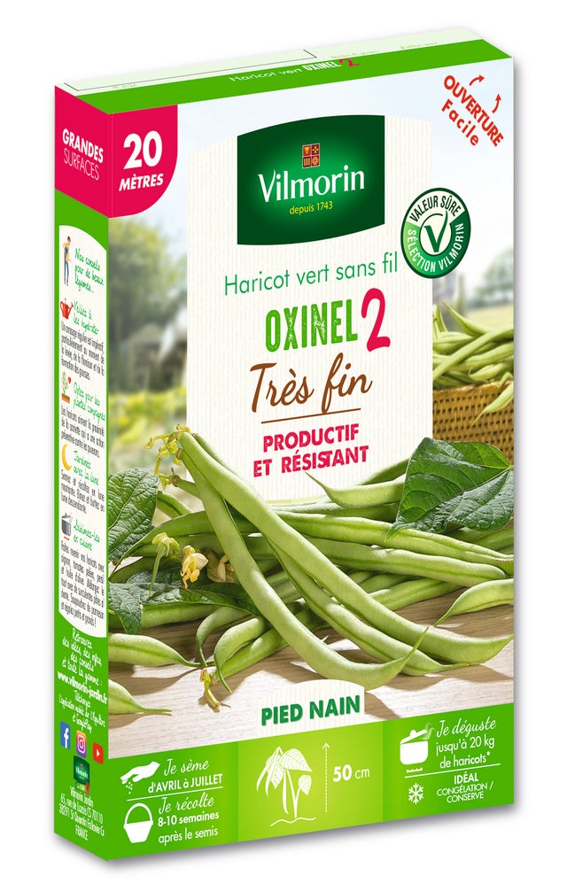Graines de haricot nain sans fil VILMORIN 138 g