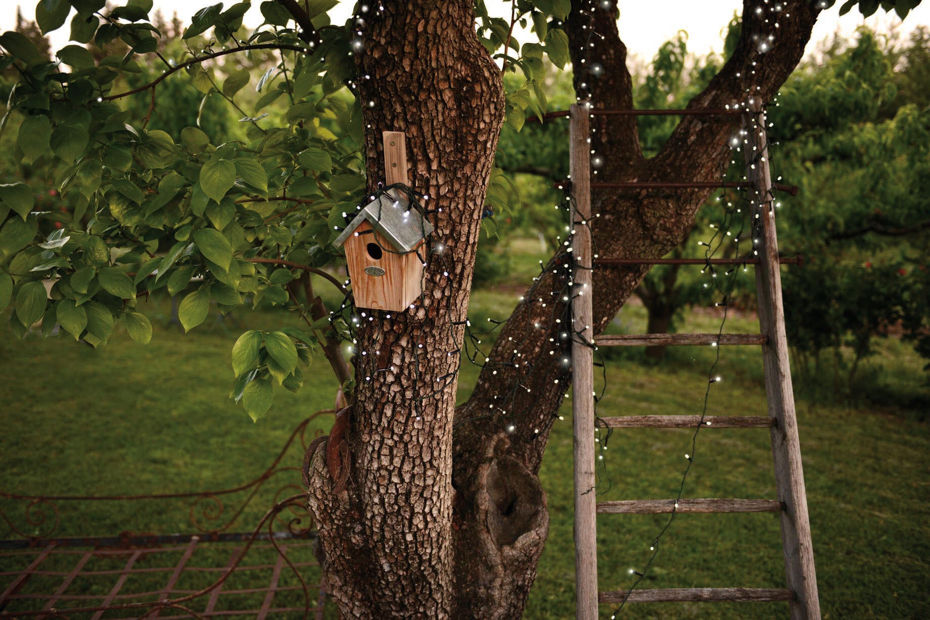 Guirlande Solaire Sapin De Noël - Magic Solaire