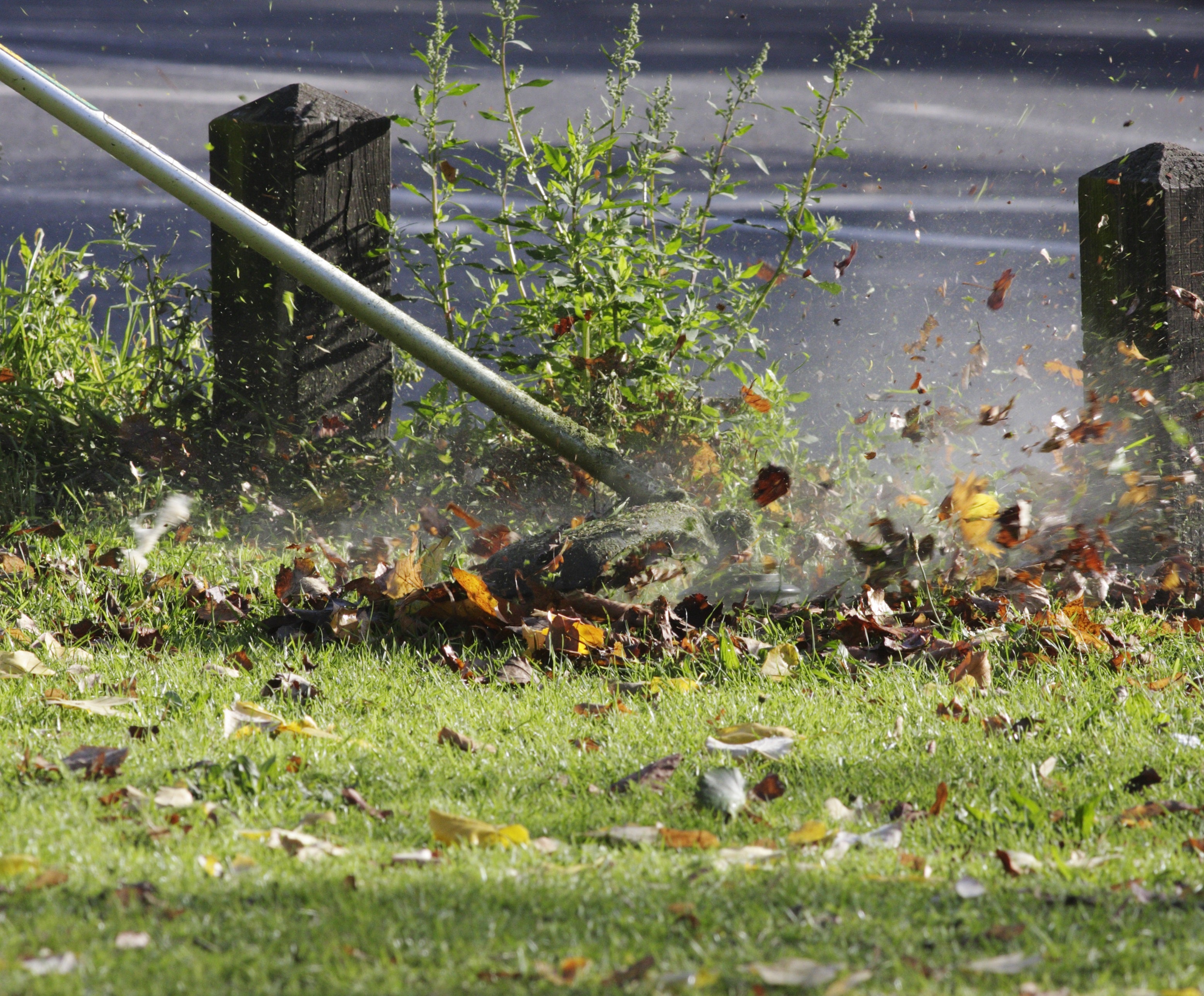 Tête OREGON universelle semi-auto 109MM - 3