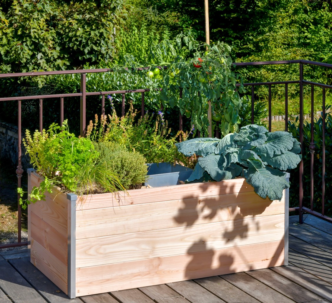 Potager sur pied bois l.115 x H.48 cm MON PETIT POTAGER - 3