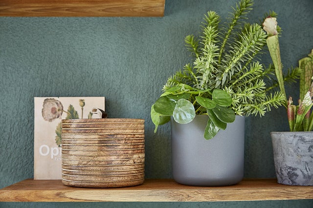 photo d'objets déco posés sur une étagère murale sur un balcon pour recevoir industriel