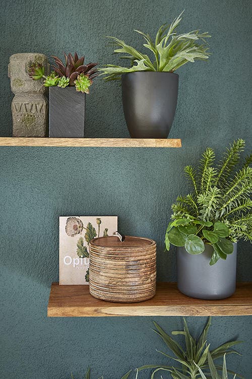 photo des pots de plantes sur un balcon pour recevoir industriel