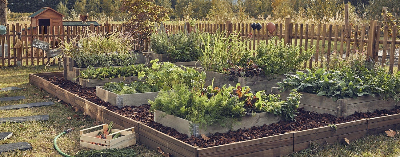 Comment faire un jardin potager: 5 étapes à suivre 