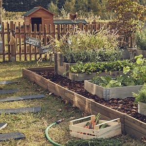 7 idées de rangement pour les outils de jardin - Vivons Maison