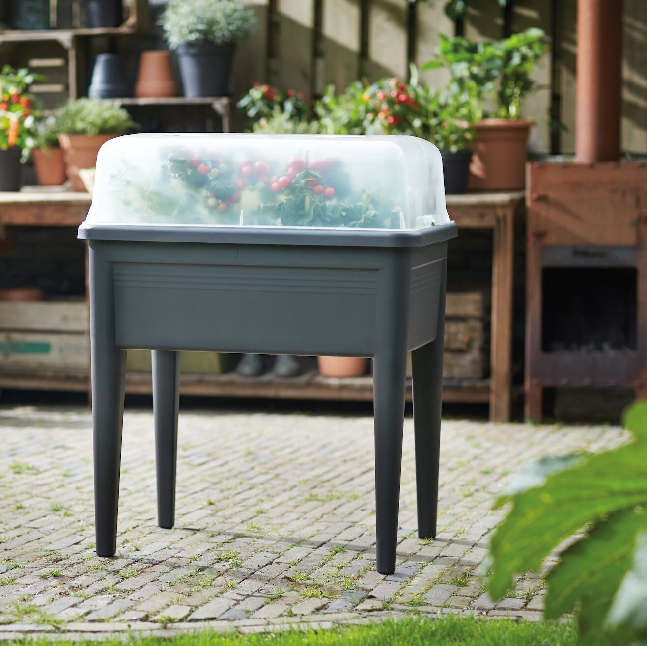Coperchio per orto in polipropilene Green basics XXL ELHO trasparente L 74.8 x P 35.5 x H 20.3 cm - 3