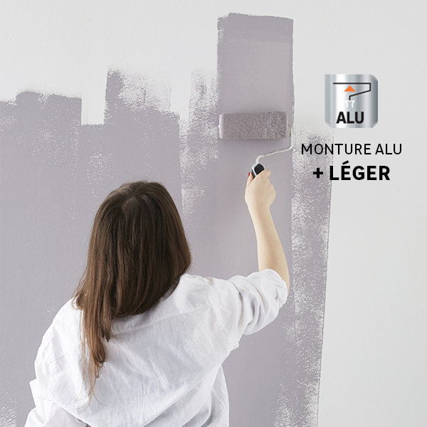 Aluminiowa rama dexter pro roller - 0