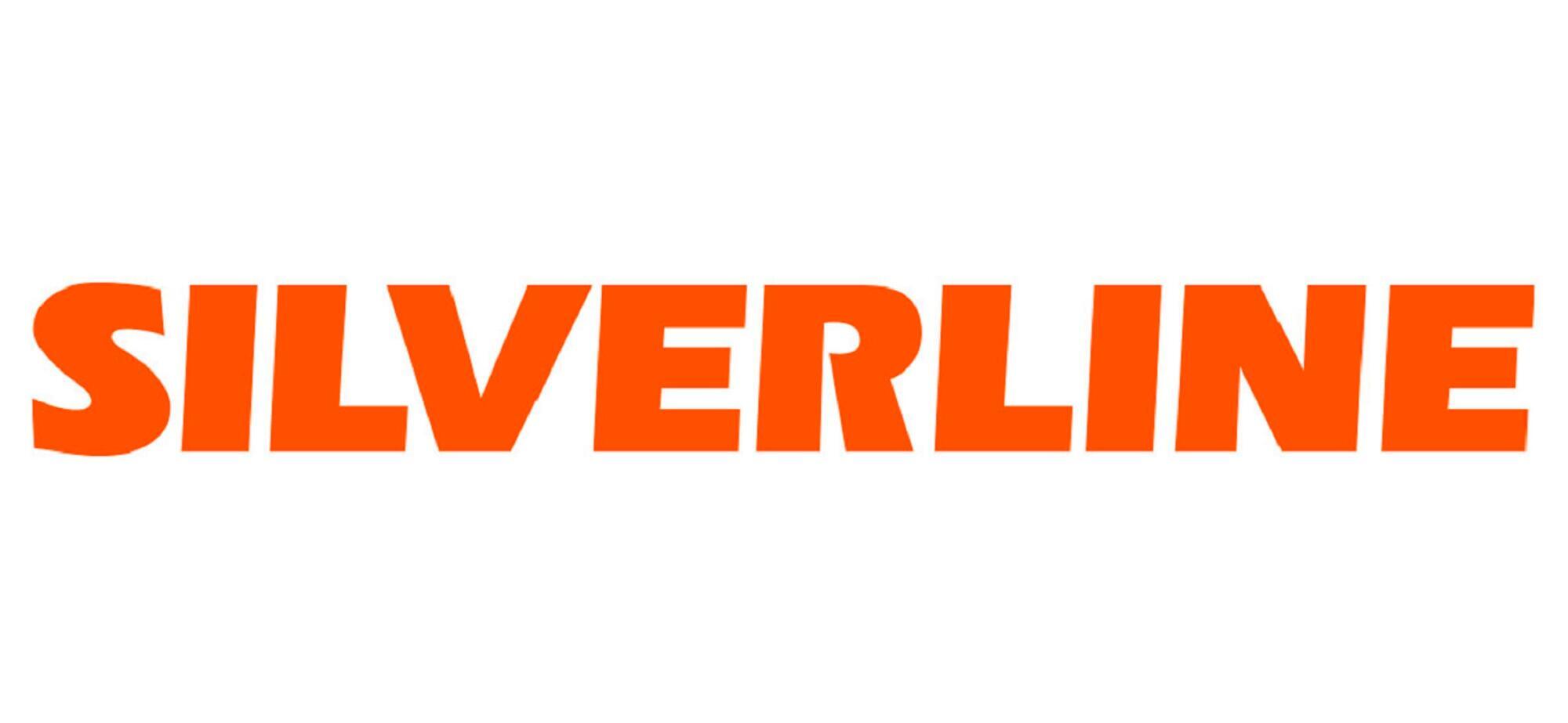 Silverline Rastrello per giardinaggio 1400 mm | Leroy Merlin