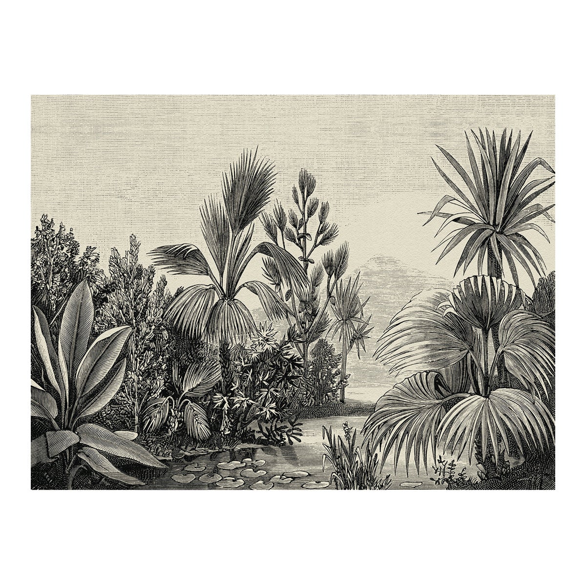 Fotomurale A.S. CREATION Jungle, multicolor 371X280 cm - 5