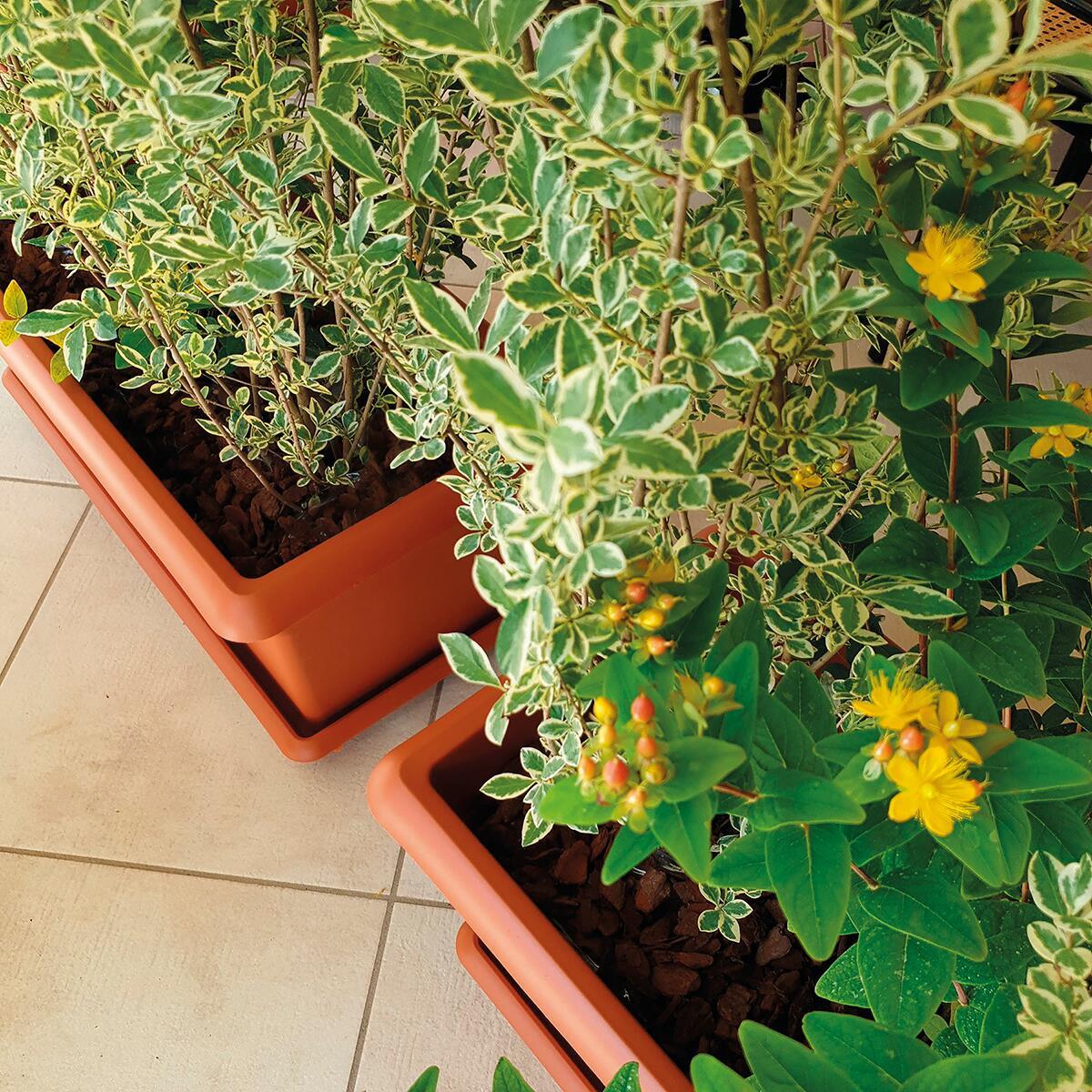 Sottovaso per vaso da fiori STEFANPLAST Mediterraneo in polipropilene di colore terracotta L 100 x H 6 x P 38 cm - 2