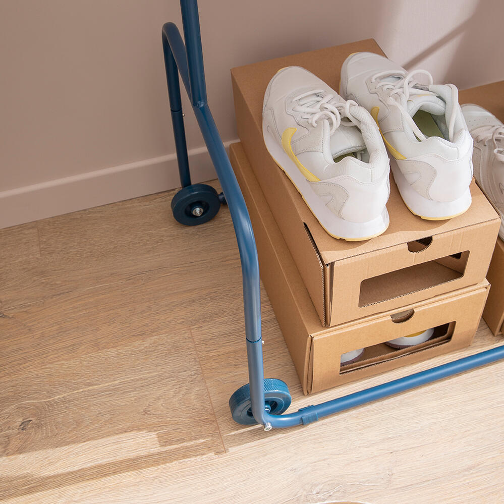 Conjunto 2 caixas de sapatos cartão 12x21x30 cm Spaceo - 24