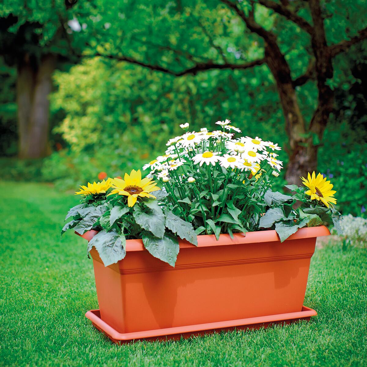 Sottovaso per vaso da fiori STEFANPLAST Mediterraneo in polipropilene di colore terracotta L 60 x H 6 x P 29 cm - 2