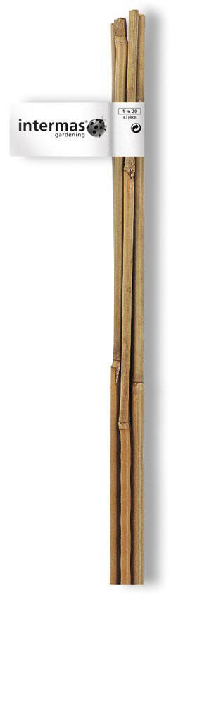 2 supports à piquer bambou droit H.1.5 m NORTENE
