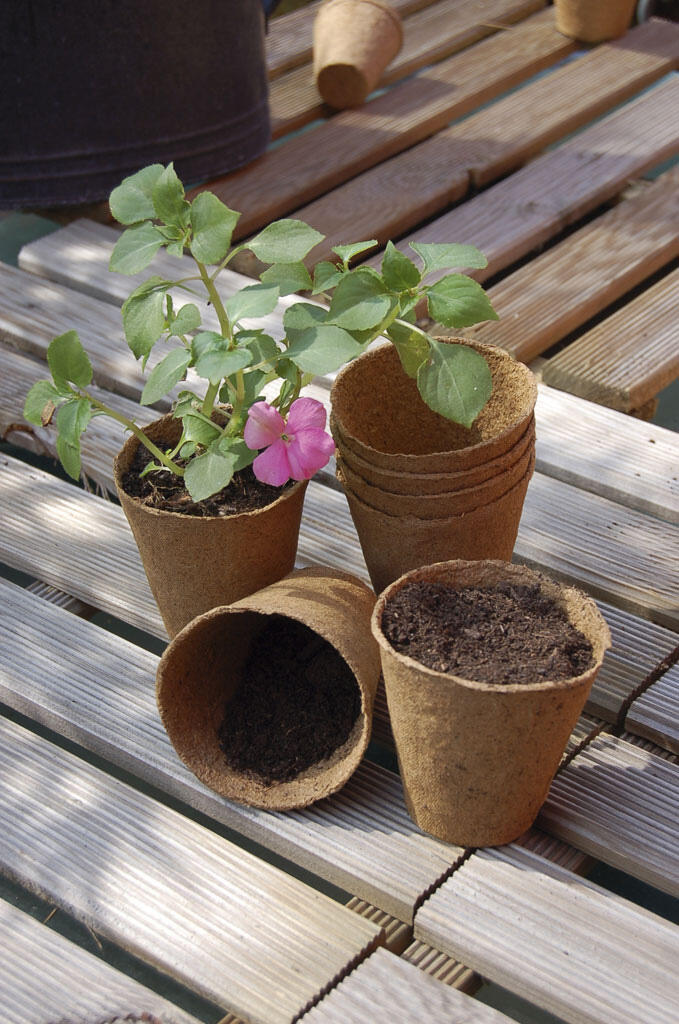 Pack de 24 macetas redondas biodegradables 6x6x6 cm - 6