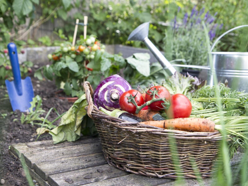 Accessoire de jardin orignal pour jardinage urbain & permaculture