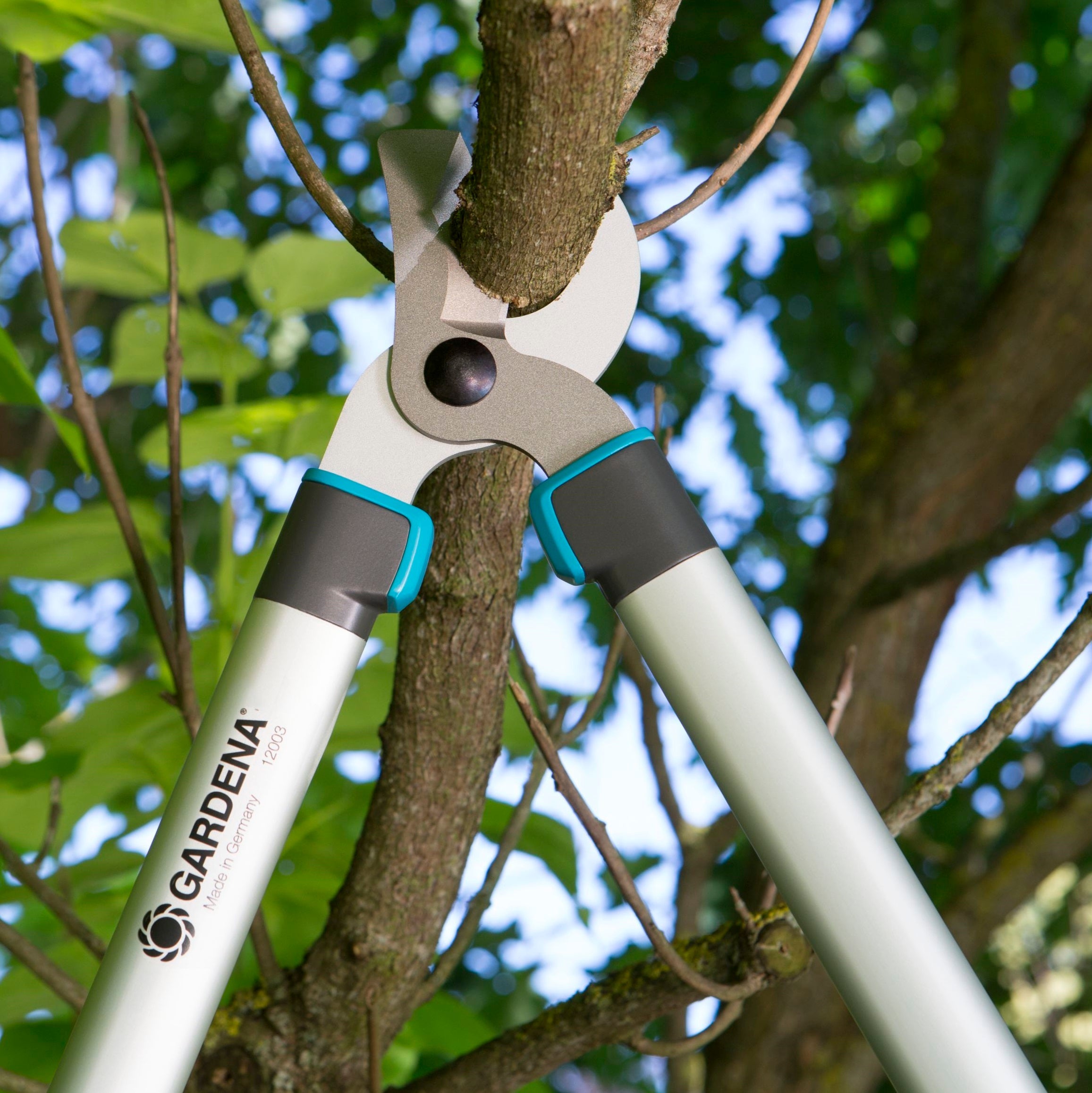 Coupe branche Gardena  - 2