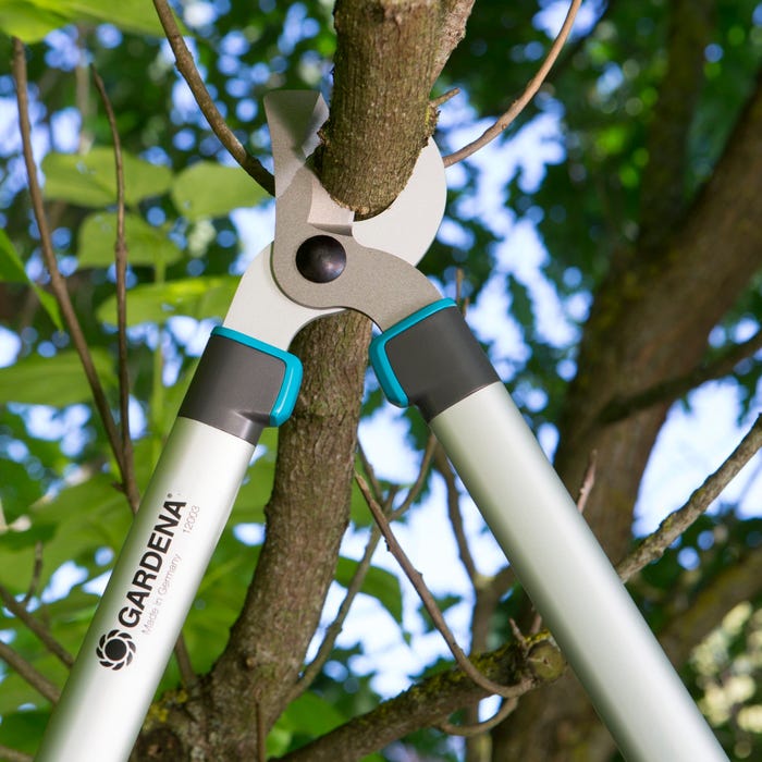 Coupe branche Gardena 