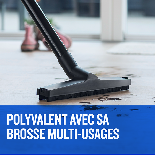 buddy_ll_brosse_multi_usages